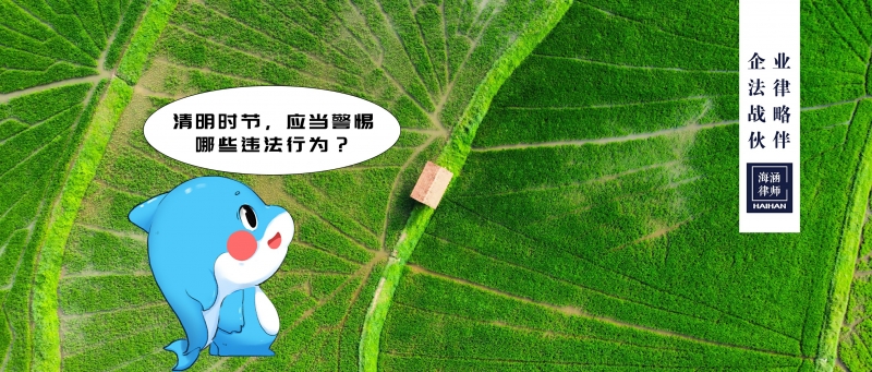 清明时节，应当警惕哪些违法行为？